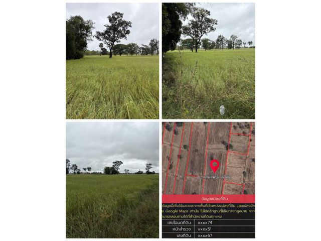ด่วน ขายที่นา ราคาถูก อ.กันทรารมย์ จ.ศรีสะเกษ เนื้อที่ 12 ไร่ 2 งาน 62.6 ตร.ว. โทร 062-5982441 (คุณโย)