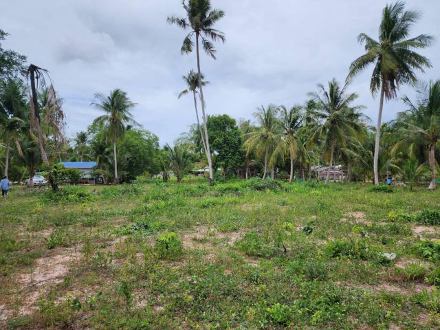 L1237 ขายที่ดิน ยกแปลง/แบ่งขาย 1 ไร่ บางละมุง ชลบุรี