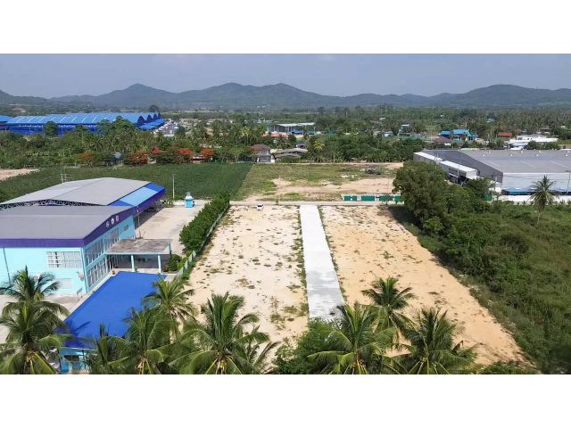 L1238 ขายที่ดินสวยทำเลดีถมแล้ว ยกแปลง/แบ่งขาย เริ่มต้นที่ 130 ตรว บางละมุง ชลบุรี