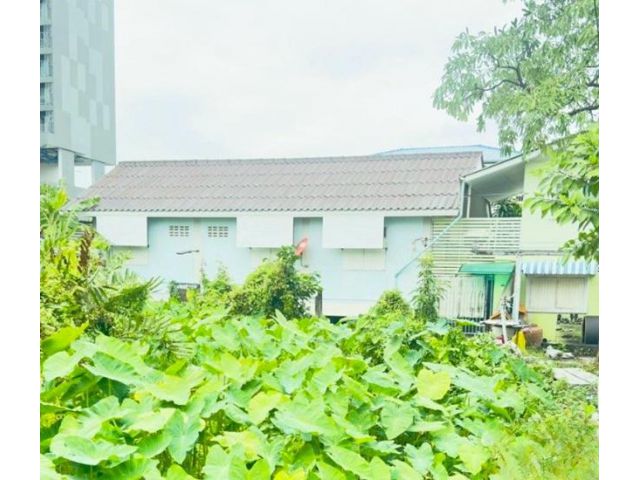 เดอะมอลล์ ท่าพระ BTS วุฒากาศ 750 ม. บ้านเดี่ยว ภาษีเจริญ 2 นอน