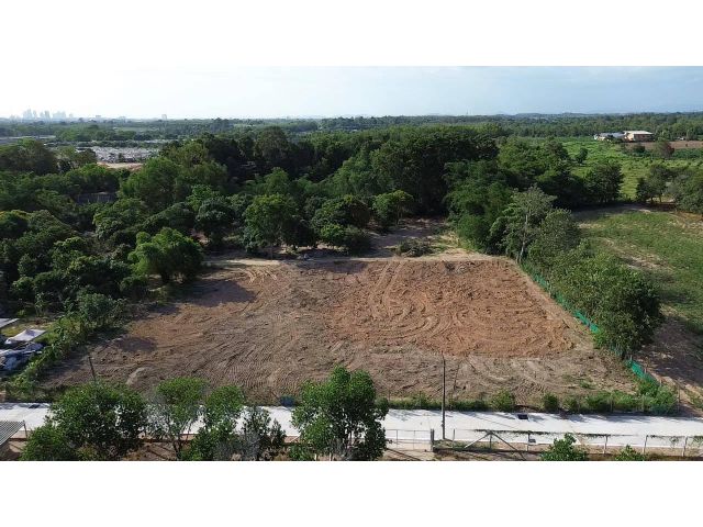 L1239 ขายที่ดิน 5 ไร่ บางละมุง ชลบุรี