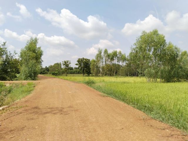 ขายที่ดิน 20 ไร่ ต.โค้งไผ่ อ.ขาณุวรลักษบุรี จ.กำแพงเพชร