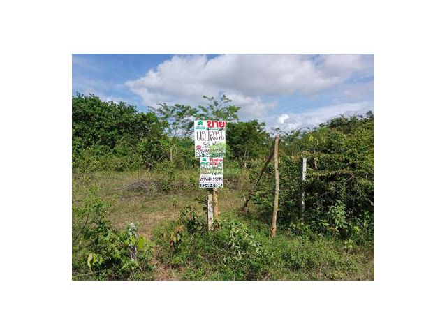 ขายที่ดิน 4 ห้อง บางกล่ำ สงขลา เนื้อที่ 100 ตารางวา ทำเลดี เหมาะปลูกบ้านพักอาศัย ประกอบกิจการ โรงงาน โกดัง คลังสินค้า