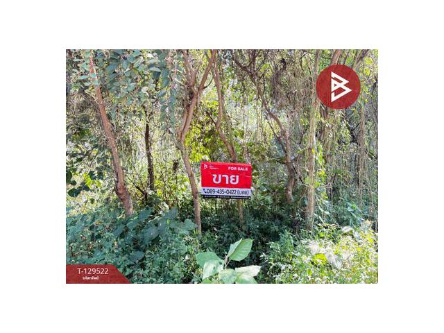 ขายที่ดิน เนื้อที่ 79 ตารางวา บ้านน้ำบ่อหลวง สันป่าตอง เชียงใหม่