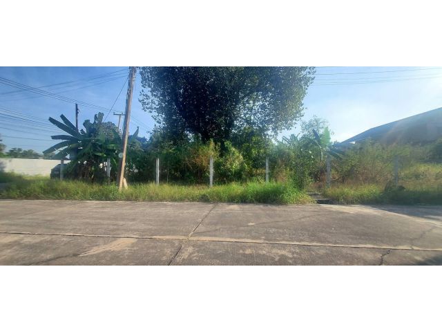 ขาย ที่ดินเปล่า หมู่บ้านเมืองเอก ที่ดินแปลงใหญ่ ราคาถูก ใกล้ห้างชั้นนำ ย่านรังสิต และรถฟ้าสายสีแดง