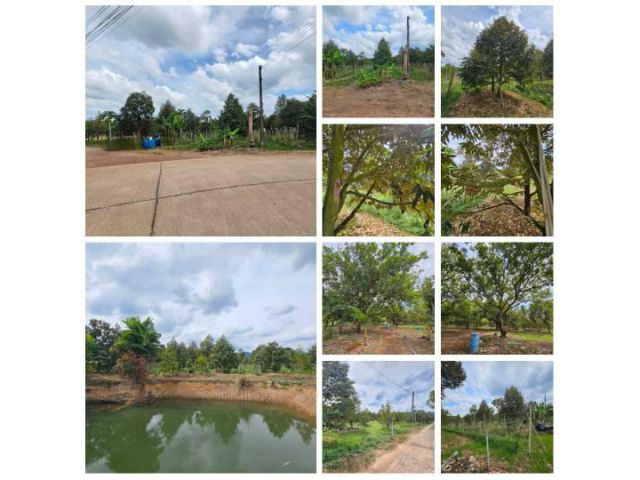 ขายที่ดินพร้อมสวนผลไม้ 5 ไร่  อำเภอนายายอาม จันทบุรี