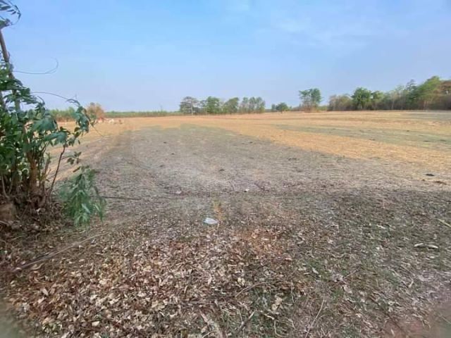 L1243 ขายที่ดินใกล้อบต.รางบัว 4 ไร่ จอมบึง ราชบุรี