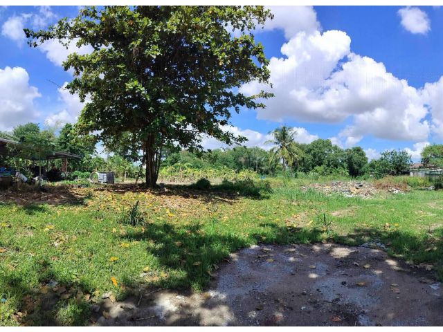 L1245 ขายที่ดินผังสีม่วงลาย 3 ไร่ ศรีราชา ชลบุรี