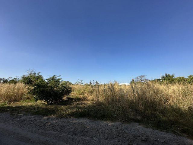 ขายที่ดินเปล่า รูปแปลงสวย เนื้อที่ 1-0-32 ไร่ ถ.ดอนนุ่น ต.บึง อ.ศรีราชา จ.ชลบุรี