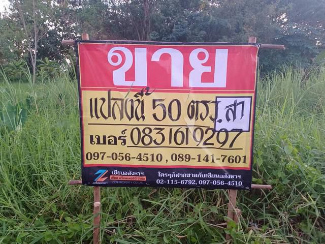 ขายที่ดินเปล่าราคาถูก  50วา  เย็นจิตร ซอย9   บ้านคลอง เมืองพิษณุโ