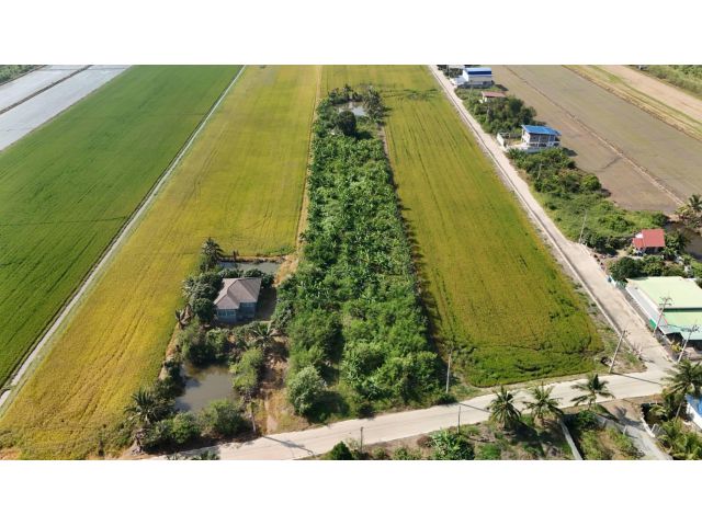 ขายที่ดิน 4-3-85 ไร่ ถมแล้ว ติดถนนซอยวัดบัวสุวรรณประดิษฐ์ ลาดหลุมแก้ว ทำเลดี