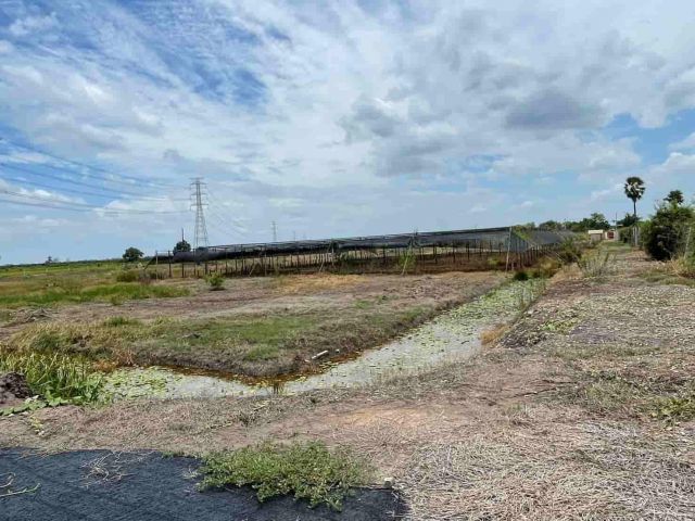 ขายถูกมาก!! ที่ดิน พร้อมโรงเรือน บ้านสวน และบ่อน้ำ 8-1-54 ไร่ อ.ดอนตูม จ.นครปฐม ทำเลดีมากใกล้ตัวอำเภอ