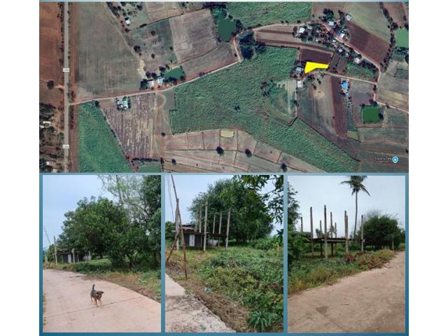 ขายที่ดิน 2 งาน เหมาะสำหรับปลูกบ้าน พิกัดวัดหนองนาสามัคคี ต.ลำสนธิ