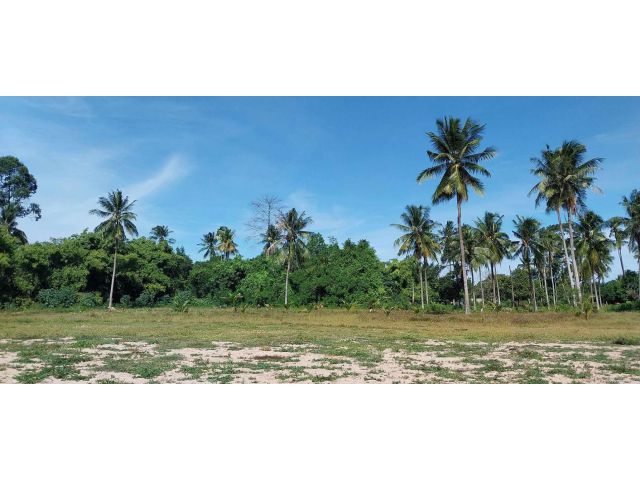 L1246 ขายที่ดิน 2 ไร่ บางละมุง ชลบุรี