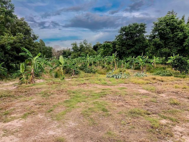 L1247 ขายที่ดินใกล้ถนน.331  4 ไร่ พนัสนิคม ชลบุรี