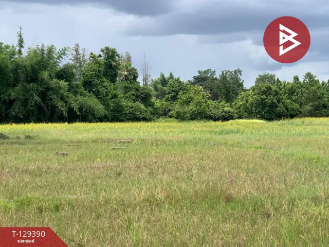 ขายที่ดิน เนื้อที่ 24 ไร่ 1 งาน 88 ตร.วา ท่ายาง เพชรบุรี