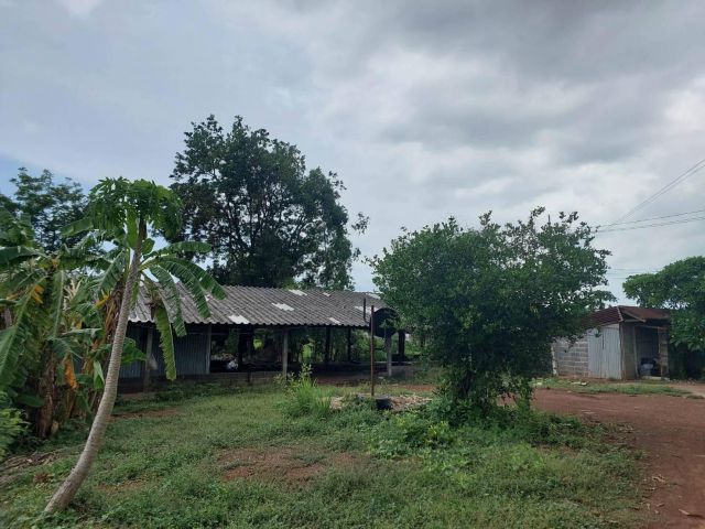 L1251 ขายที่ดินพร้อมสิ่งปลูกสร้าง 271 ตรว กบินทร์บุรี ปราจีนบุรี