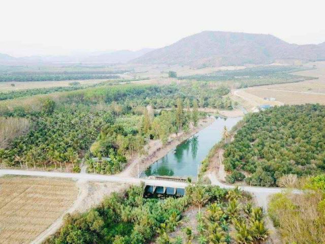 ขายที่ดิน 13 ไร่ ต.สามกระทาย อ.กุยบุรี จ.ประจวบคีรีขันธ์