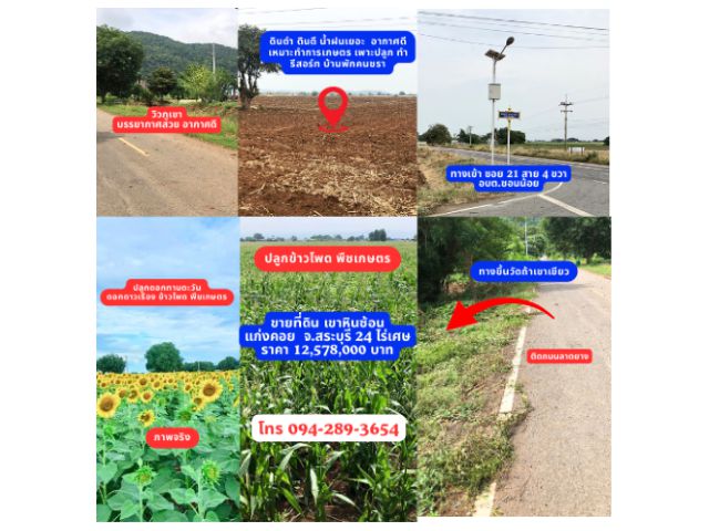 ขายถูก!! ที่ดินเปล่าแปลงสวย 24 ไร่เศษ วิวภูเขาพร้อมบ้านไม่ไกลกรุงเทพฯ ซ.21 สาย 4 ขวา ทางขึ้นวัดถ้ำเขาเขียว ต.หินซ้อน อ.แก่งคอย จ.สระบุรี เจ้าของขายเอง