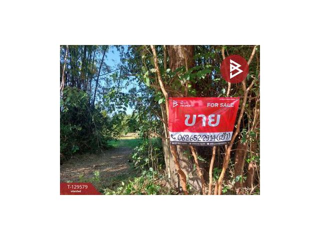 ขายที่ดิน เนื้อที่ 7 ไร่ 2 งาน 20 ตร.วา นาข่า อุดรธานี