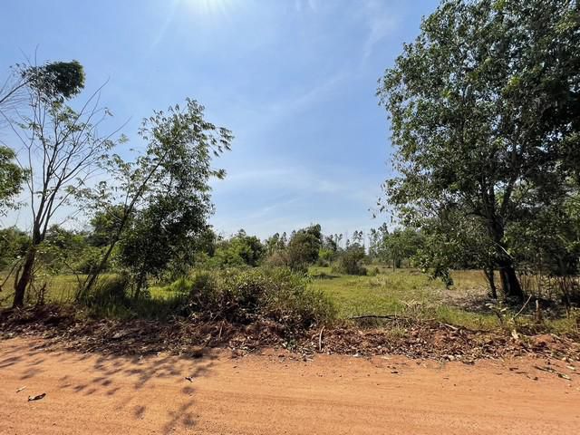 L1256 ขายที่ดินใกล้นิคมฯ.304  600 ตรว ศรีมหาโพธิ ปราจีนบุรี