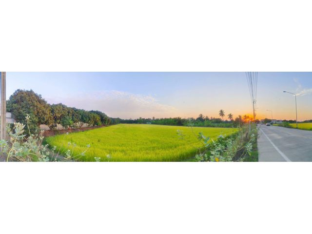 ที่ดิน 2-2-46 ไร่ ติดถนนใหญ่ อบต หนองเพรางาย ไทรน้อย นนทบุรี ถนนกว้าง 10 เมตร เหมาะสร้างโกดังสินค้า โรงงาน อู่รถยนต์