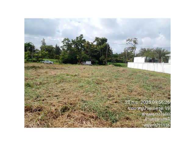 ขาย ที่ดินในสนามกลอ์ฟ Lake wood  ขนาด 424 ตารางวา