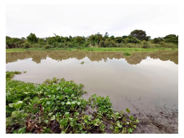 ขายที่ดินติดคลองธรรมชาติ และถนนทางหลวงชนบท วิวคลองสวย ได้วิวคลองยาวถึง 68 ม. เหมาะกับคนรักธรรมชาติ เหมาะปลูกบ้านริมน้ำ