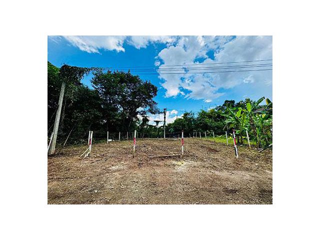 ขายด่วนๆ ที่ดิน ทำเลดี หลังบริษัทสหพานิช โชตนา ซอย10