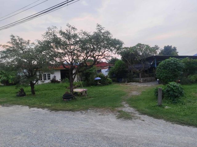 ขายที่ดินแปลงสวยถมแล้ว 200 ตรว. ต.หนองตำลึง อ.พานทอง จ.ชลบุรี ใกล้ถนนสุขประยูร ใกล้นิคมอมตะนครชลบุรี