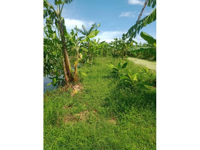 L1257 ขายที่ดิน 9 ไร่ เมืองฉะเชิงเทรา