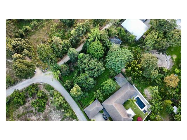 ขายที่ดินแปลงสวย มีต้นไม้ใหญ่ร่มรื่น ล้อมรั้วสวยงาม ติดถนนสองด้านเหมาะทำบ้านพักสำหรับผู้ที่รักความเป็นธรมชาติและความเป็น