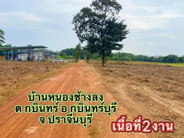 ขายที่ดิน2งานราคา350,000บาทบ้านหนองช้างลง ต กบินทร์ อ กบินทร์บุรี จ ปราจีนบุรี