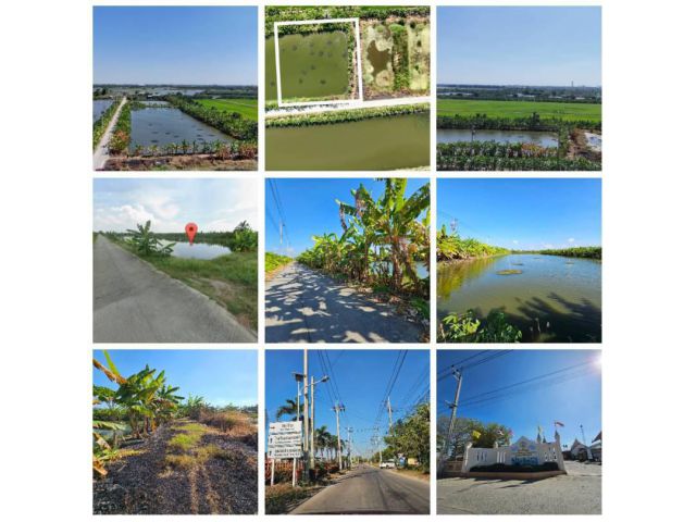 ขายที่ดิน 1 ไร่ ซอยวัดบัวโรย สมุทรปราการ