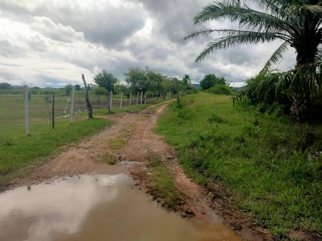 ให้เช่าที่ดิน(โฉนด) 1023-ไร่ไร่ละ2000-/ปี อ.ห้วยกระเจา จ.กาญจนบุรี เช่ายาวได้5-15ปี.ค่านายหน้าไร่ละ1000-