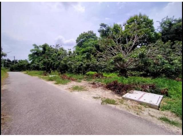 ขายที่ดิน3งาน 1.96ล. สวนลำไย แดนเมือง ต.อุโมงค์ เมือง ลำพูน