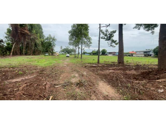 ที่ดินนครสวรรค์ อำเภอชุมแสง ติดแม่น้ำน่าน 6 ไร่