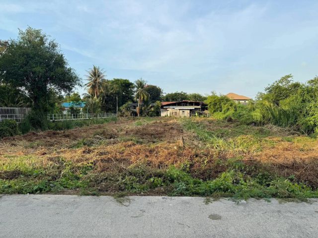 ขายที่ดินเปล่า คุ้งบางกะเจ้า  1 ไร่ 1 งาน 15 ตรว.  สมุทรปราการ  ติดถนน  เดินทางสะดวก  ราคา 10,000,000