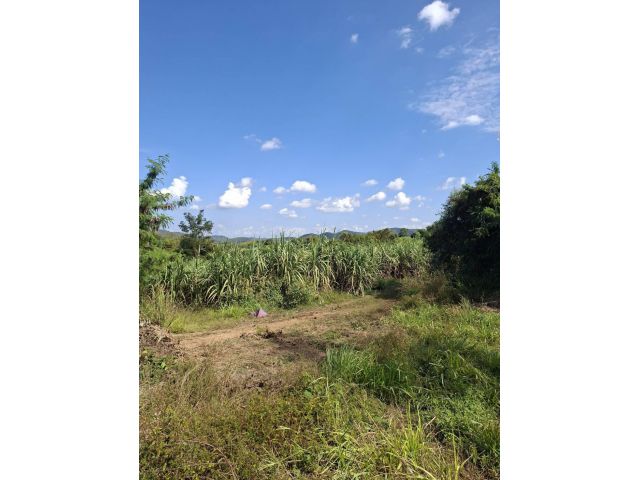 ขายที่ดินติดถนนทางหลวงท่าลี่โฉนด 32 ไร่ๆละ150000 ที่ราบสวยทำธุรกิจ บ้านพักบ้านสวนได้เลย