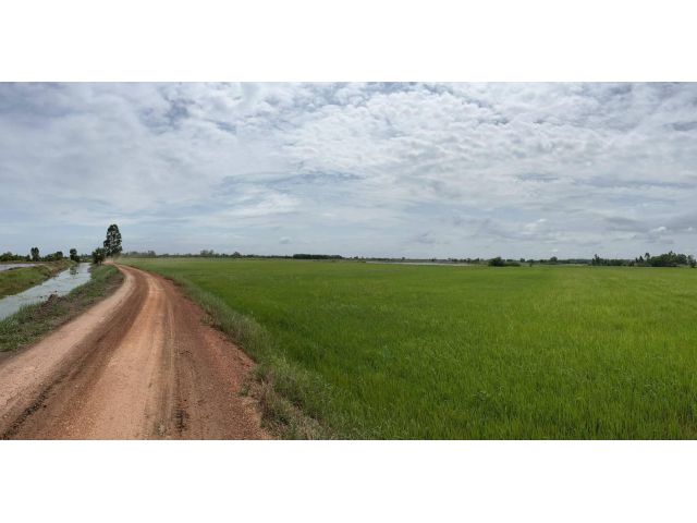 L1272 ขายที่นาสวย 28 ไร่ หน้ากว้าง 363 เมตร พนมสารคาม ฉะเชิงเทรา