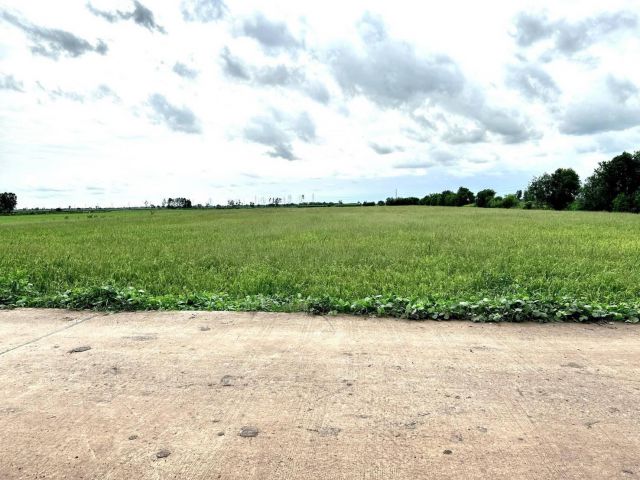 L1273 ขายที่นาสวยทำเลดี 17 ไร่ พนมสารคาม ฉะเชิงเทรา