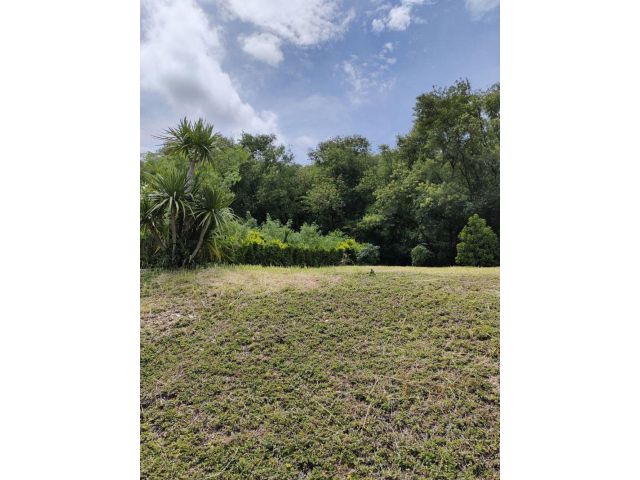 ขายที่ดินพร้อมโฉนด 1-1-32 ตร.ว. อ.ปากช่อง จ.นครราชสีมา ทำเลดี บรรยากาศร่มรื่น ด้านหลังติดภูเขา