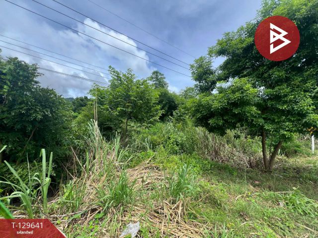 ขายที่ดิน เนื้อที่ 1 ไร่ ทองผาภูมิ กาญจนบุรี