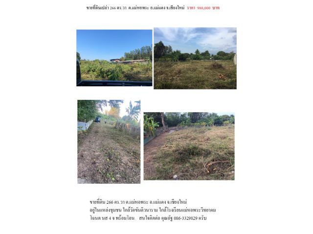 ขายที่ดินเปล่า 266 ตร.วา ต.แม่หอพระ อ.แม่แตง จ.เชียงใหม่