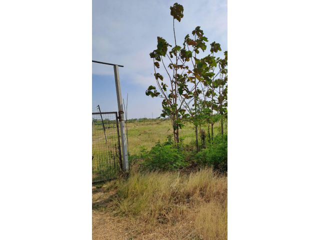 ขายที่ดิน 15 ไร่ 1 งาน 45 ตารางวา ติดถนนลูกรัง