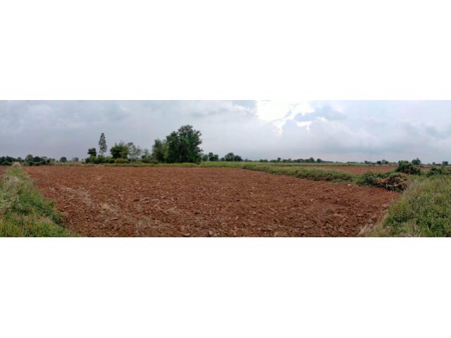 L1276 ขายที่ดินสวยทำเลดี 38 ไร่ หน้ากว้าง 250 เมตร สีคิ้ว นครราชสีมา