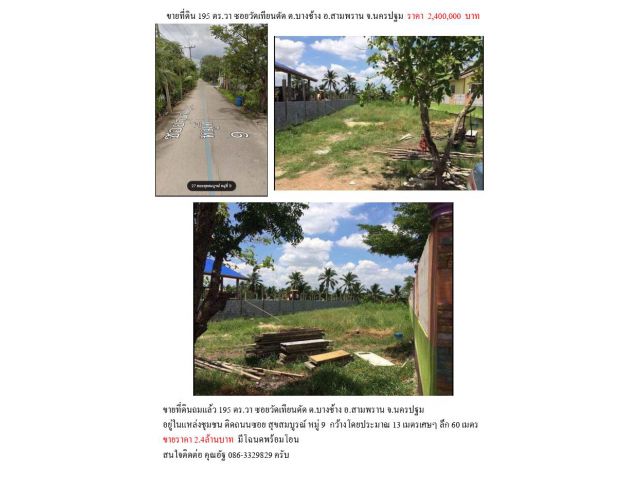 ขายที่ดิน 195 ตร.วา ซอยวัดเทียนดัดต.บางช้าง อ.สามพราน จ.นครปฐม