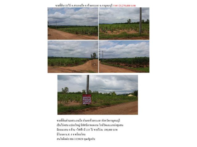 ขายที่ดิน 133 ไร่ ตำบลสระลงเรือ อำเภอห้วยกระเจา จังหวัดกาญจนบุรี
