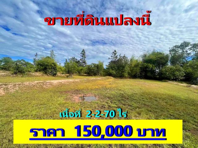 ขายที่ดิน อำเภอศรีเมืองใหม่ อุบลราชธานี