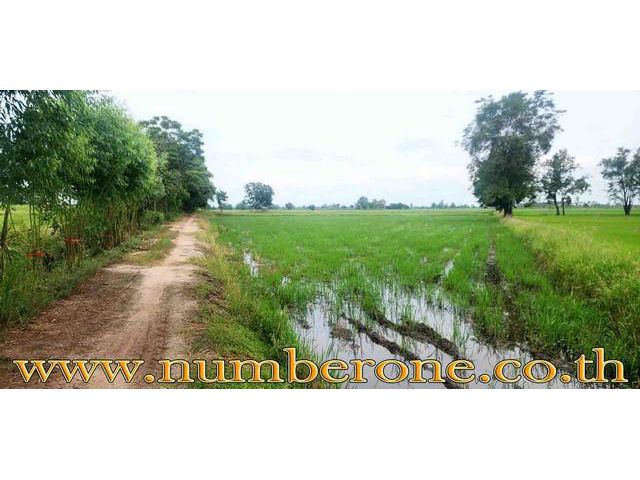 ขายที่ดินถนนทางหลวงชนบทกำแพงเพชร 4004 อ.ทรายทองวัฒนา จ.กำแพงเพชร